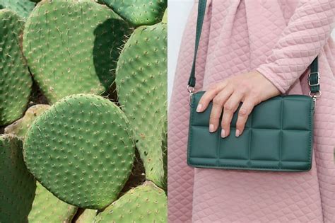 Cactus Leather A Complete Guide To Natural Vegan Leather