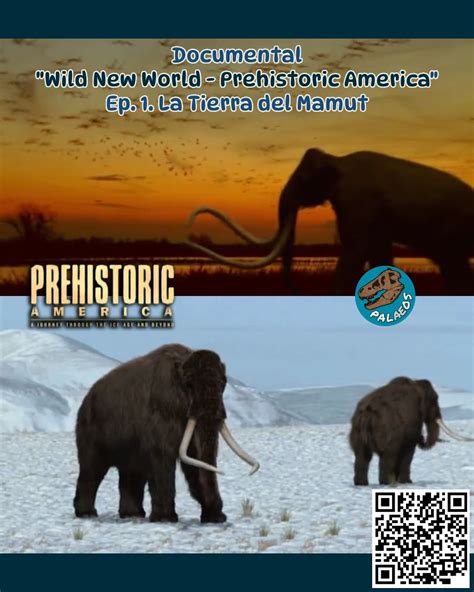 Diferencia Entre Mamut Y Mamut Colombiano Stock De Ilustración