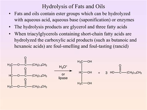 Hydrolysis Of Fats And Oils