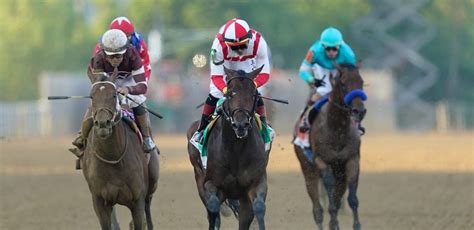 preakness history   kentucky derby champions won