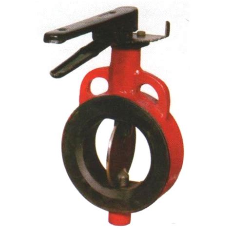 Ci Butterfly Valve At Best Price In Ahmedabad By B M Industries Id