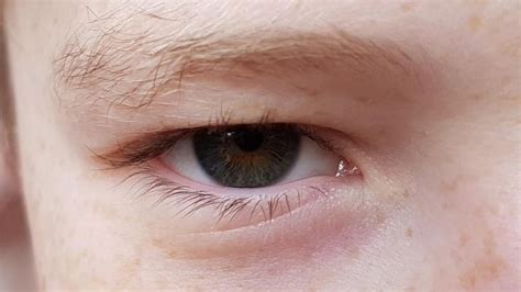 Eva Jacobson adlı kullanıcının Eye color panosundaki Pin | Gözler