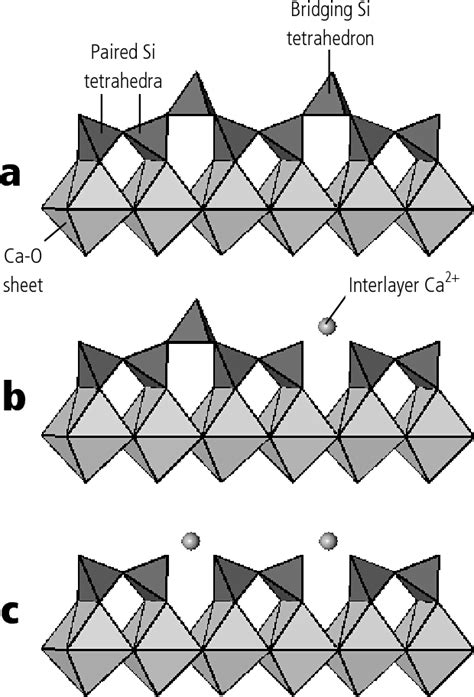 Figure 1 from Solubility and structure of calcium silicate hydrate ...