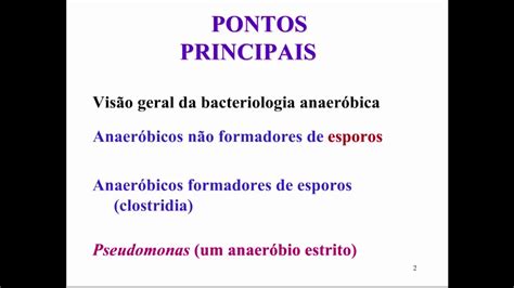 Aprenda Plugado BACTERIOLOGIA Aula 16 Slide 2 Pontos Principais