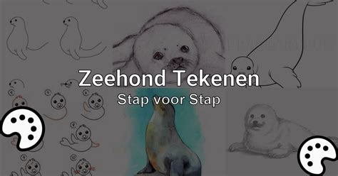 Zeehond Tekenen Stap Voor Stap