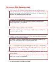 Roshni Ramesh Copy Of Strawberry DNA Extraction Lab Pdf Strawberry