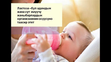 Дисахариддер жана полисахариддер - YouTube
