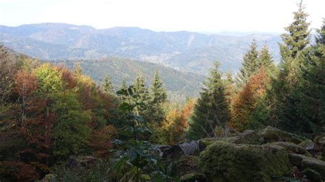 A faire Le Baerenkopf à Rougemont le Château Randonnée