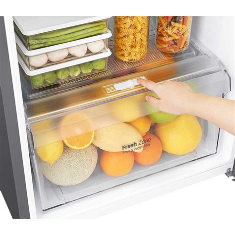 LG 2-Door Refrigerator Total No Frost 166,5 x 55,5 cm - Petros Kinnis