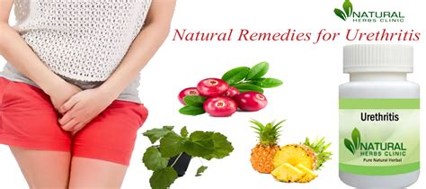 Best Natural Remedies for Urethritis Recovery Naturally