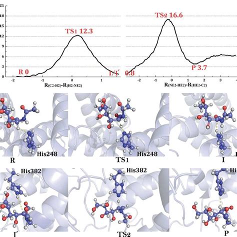 The Proposed Mechanisms Of The Epimerization Reactions By RaCE And