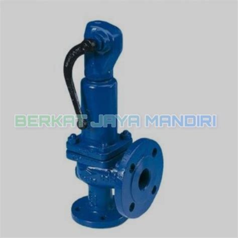 Jual Safety Valve Steam Pn 16 Ari Faba 2 X 3 Inch Dn50 Dn80 Terlariss Shopee Indonesia