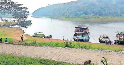 Thekkady Struggles To Keep Its Charm Among Tourists Glimpses Of