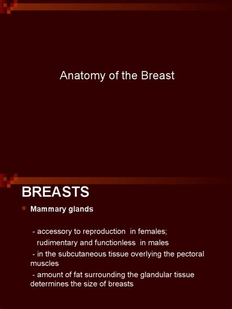 Anatomy Of The Breastppt