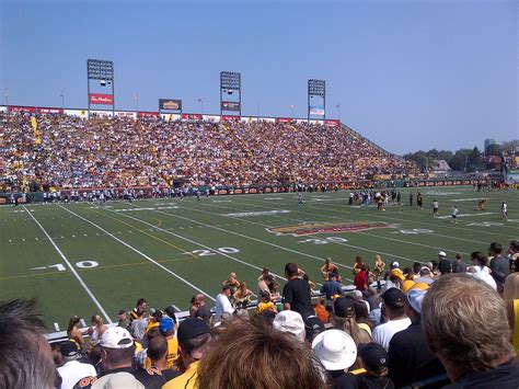 hamilton tiger cats stadium - Eldora Stamm