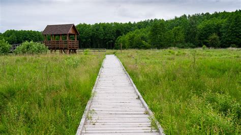 Poleski Park Narodowy Szlaki Turystyczne Atrakcje Co Warto Zobaczy