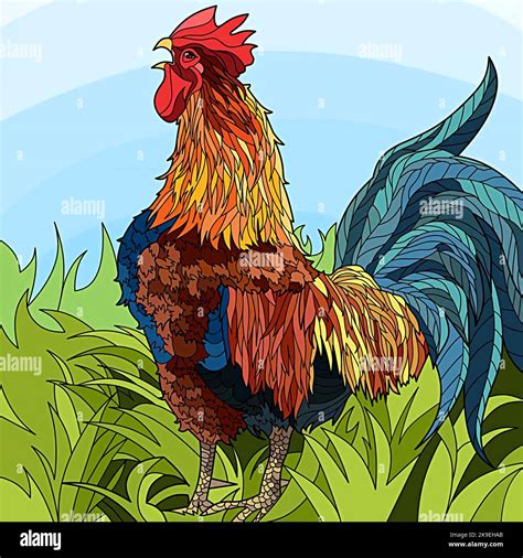 Rooster Crowing Drawing