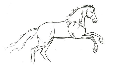 How To Draw A Horse How To Draw Horses Horse Drawing