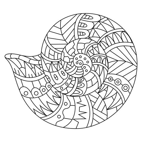 Shells Line Art 11710337 Vector Art At Vecteezy