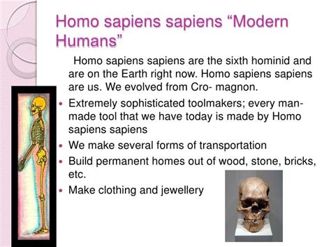 Tools of hominids