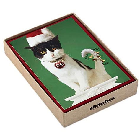 Hallmark Shoebox Funny Boxed Christmas Cards Cat With Jingle Bells