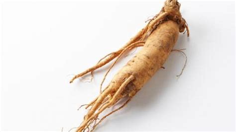 Ginseng Descubre Sus Propiedades Beneficios Y Valor Nutricional