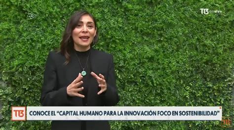 Cómo Postular Al “capital Humano Para La Innovación Foco En Sostenibilidad” De Corfo N4580