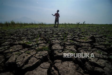 Dua Desa Di Banyumas Kekeringan Republika Online