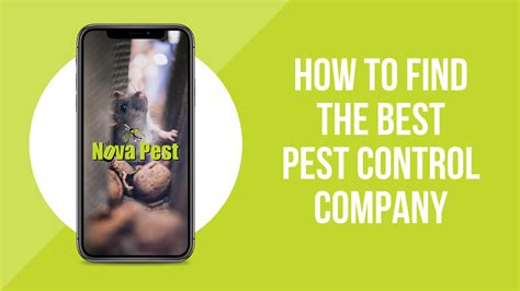 How To Find The Best Pest Control Company Nova Pest Control