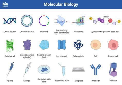 Icon Pack Molecular Biology Biorender Science Templates