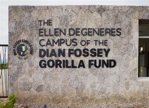 Ellen DeGeneres Announces Opening of Her Gorilla Fund Campus in Rwanda