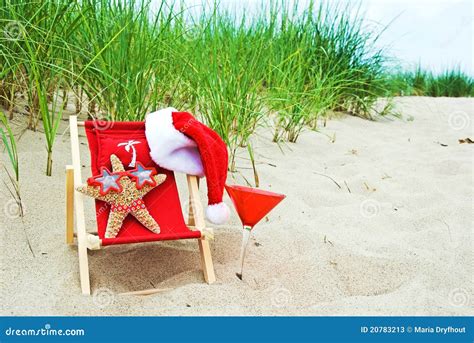 Santa Starfish In Bikini Stock Image Image Of Beach 20783213