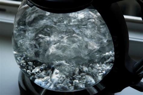 ALGAL - Почему вода шумит в чайнике до закипания?