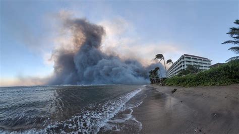 Apocalipse Em Maui Saiba Como Ajudar Na Recuperação Waves