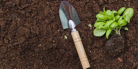 Qual O Melhor Adubo Para Horta Saiba Como Melhorar O Cultivo Das Plantas