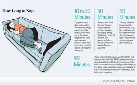 The Science Behind Napping Good To Know Nap Benefits Health Power Nap