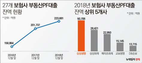 보험업계 부동산pf 대출 22조 10년새 4배 증가 Save Internet 뉴데일리