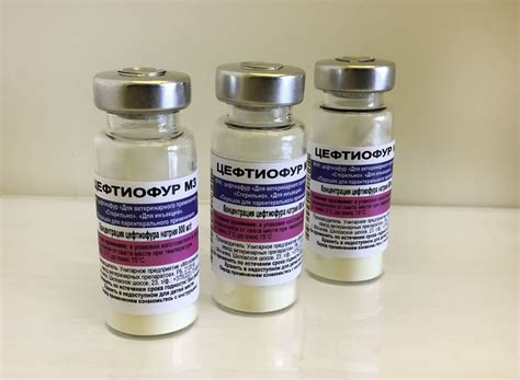 Цефтиофур МЗ уже в продаже! - Новости