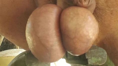Vices My Ringed Balls Gay Amateur Amateur Porn XHamster