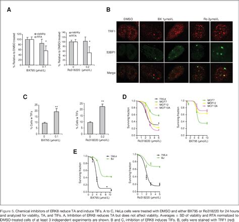 Figure 5 from High-throughput RNAi screening reveals novel regulators ...
