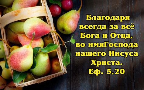 Pin by Andrei Brutsky on музыка Food Fruit Healthy