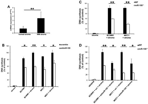 Mir Inhibition Decreases Wm And Cll Proliferation In The Context Of