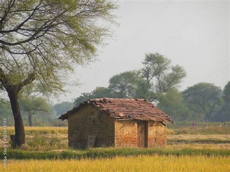 Indian Village Hut Stock Photo Adobe Stock