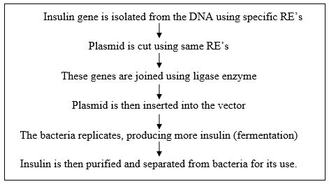 Insulin Production rDNA technology notes - Pharmacy Infoline