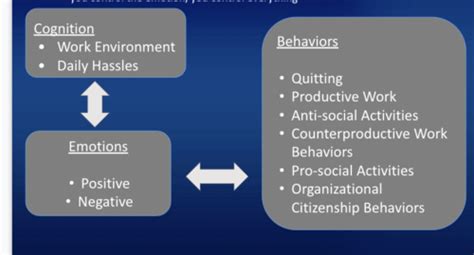 Organizational Behavior Quiz Flashcards Quizlet