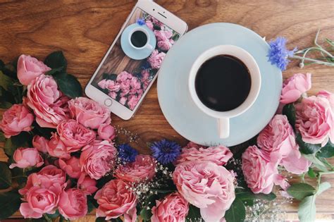 картинки : Пища, Розовый, кружка, Цветочный дизайн, Чашка чая ...