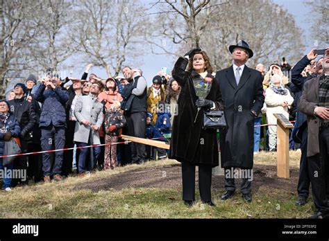 Schwedens K Nig Carl Xvi Gustaf Und K Nigin Silvia In Uppsala W Hrend