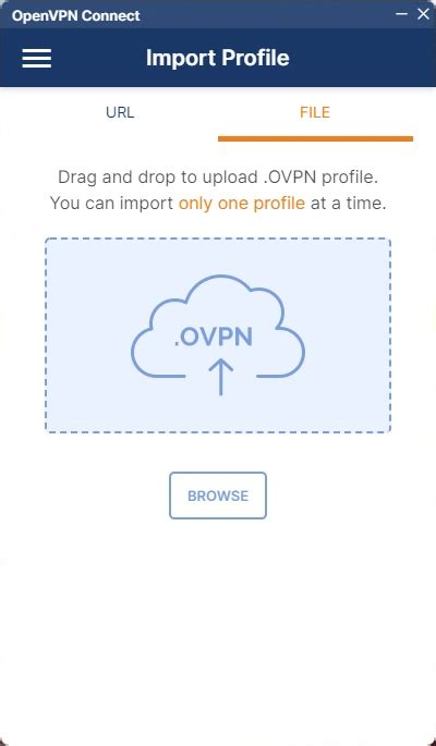 VPN Наоборот – ВПН с российским IP, открывает российские сайты за ...