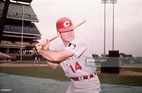 Pete Rose Cincinnati Reds Outfielder In Posed Batting Action News