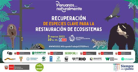 Evento Virtual Gratuito SERFOR Recuperación de especies clave para